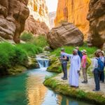 Whisk deecabebccfedr